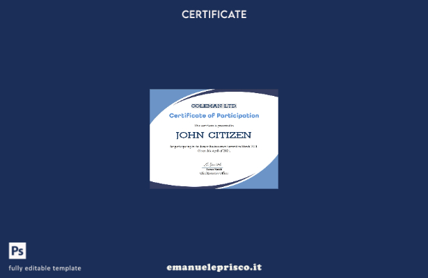 Modello di certificato di partecipazione al programma USA in stile verificato